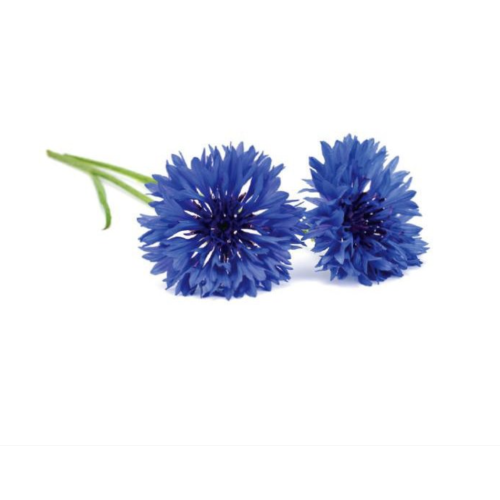 Click and Grow Smart Garden Refill 3-pack - Cornflower